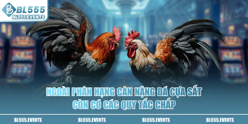 Ngoài phân hạng cân nặng đá cựa sắt còn có các quy tắc chấp
